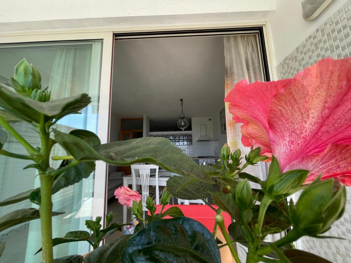 A Casa Di Silvia Apartamento Gambassi Terme Exterior foto